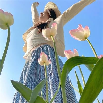 我的女官大人